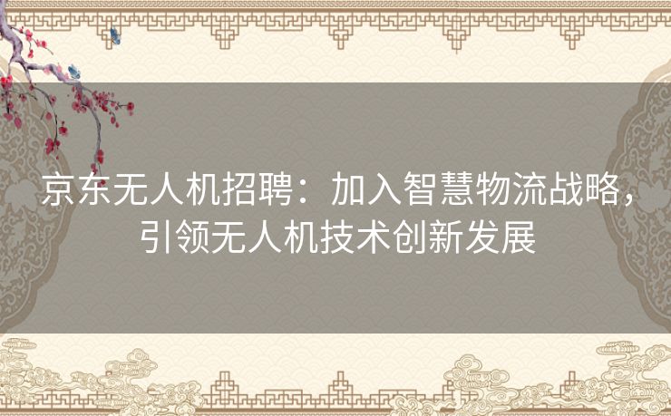 京东无人机招聘：加入智慧物流战略，引领无人机技术创新发展