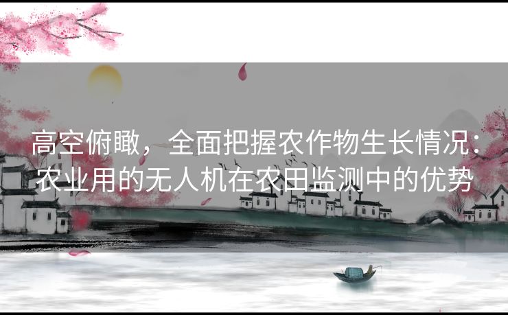 高空俯瞰，全面把握农作物生长情况：农业用的无人机在农田监测中的优势