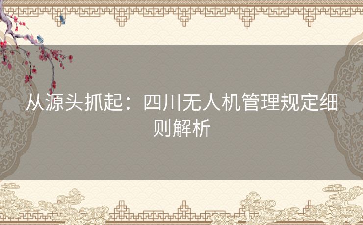 从源头抓起：四川无人机管理规定细则解析