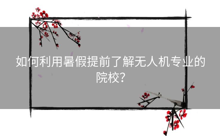 如何利用暑假提前了解无人机专业的院校？