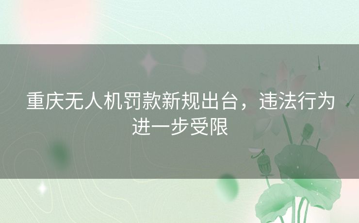 重庆无人机罚款新规出台，违法行为进一步受限