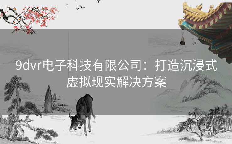 9dvr电子科技有限公司：打造沉浸式虚拟现实解决方案