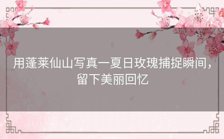 用蓬莱仙山写真一夏日玫瑰捕捉瞬间，留下美丽回忆